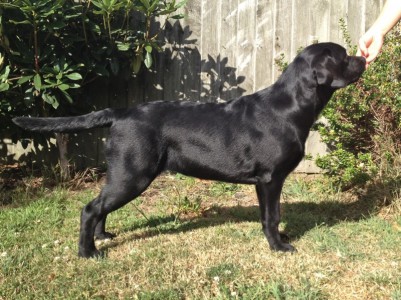 Promise at 6 months Promise at 6 months