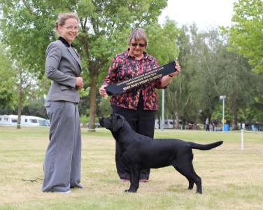 Promise winning Baby in Show Promise winning Baby in Show